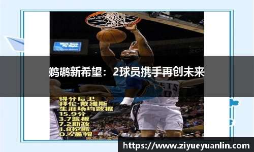 鹈鹕新希望：2球员携手再创未来