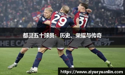 伟德bv国际体育
